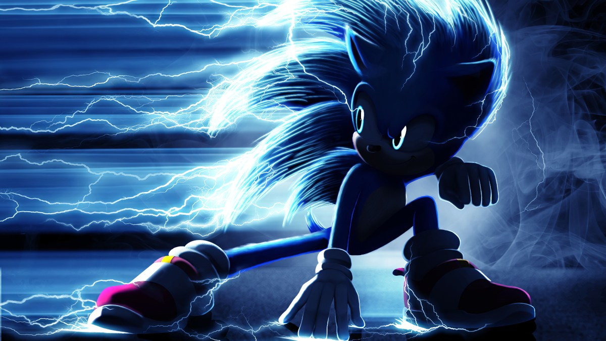 Sonic the hedgehog